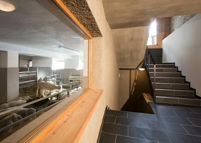 Hof Alpenjuwel * ナウダース